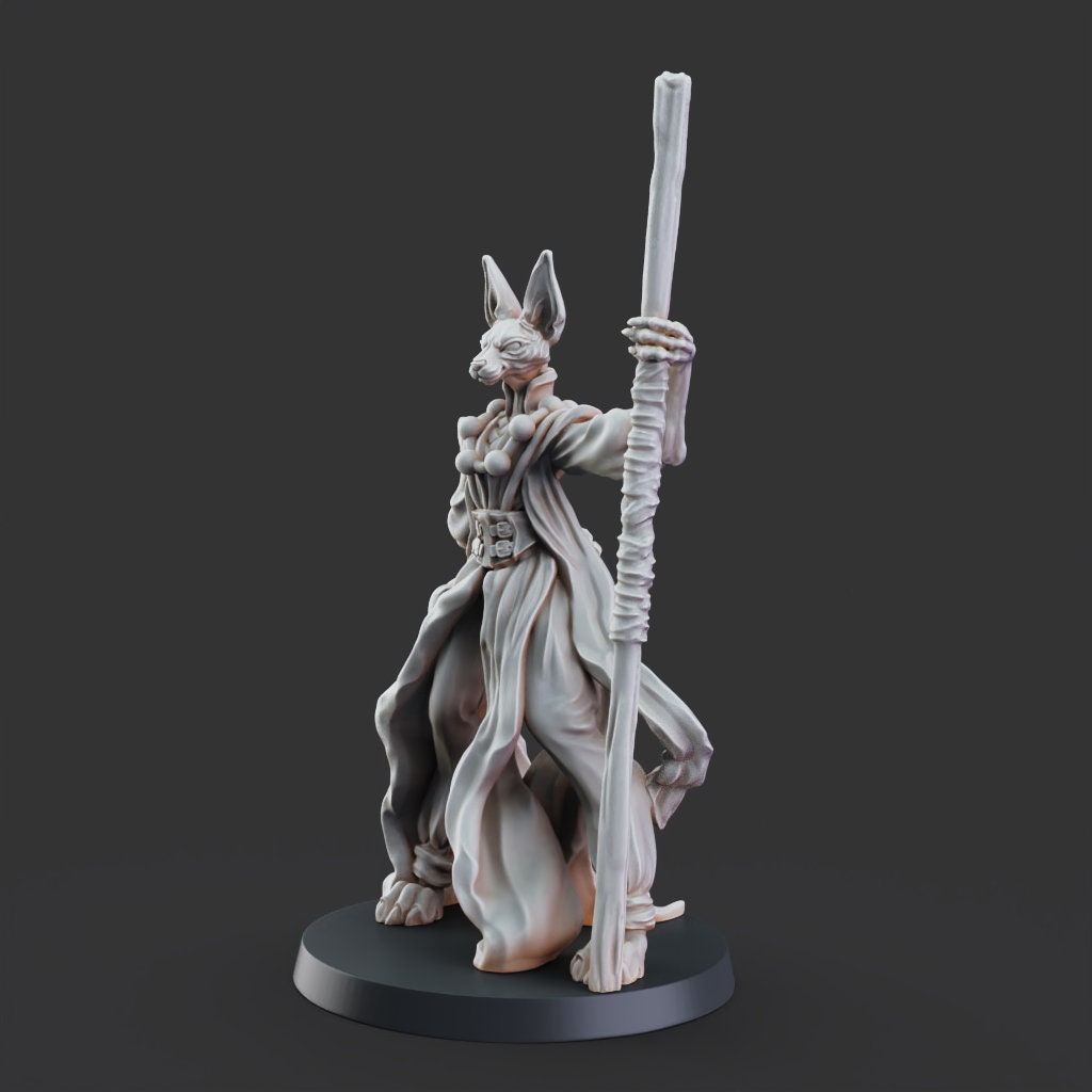 Master Mao the Monk- Tabaxi Caravan by Printed Obsession