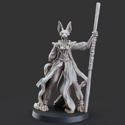 Master Mao the Monk- Tabaxi Caravan by Printed Obsession