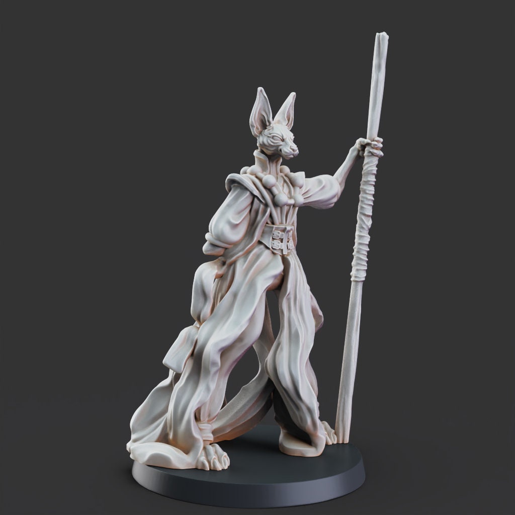 Master Mao the Monk- Tabaxi Caravan by Printed Obsession