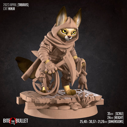 Tabaxi Ninja - Bite the Bullet