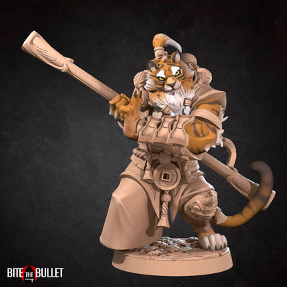 Tabaxi Monk - Bite the Bullet