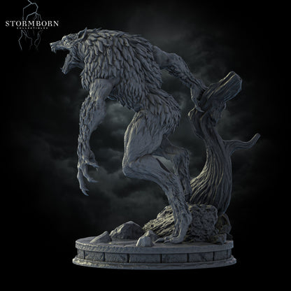 Shadowclaw - Stormborn Collectables